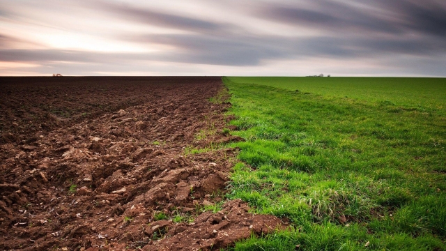 Digging Into the Benefits of Organic Soils