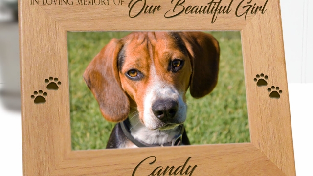 Forever in Our Hearts: Honoring the Memories of Beloved Pets
