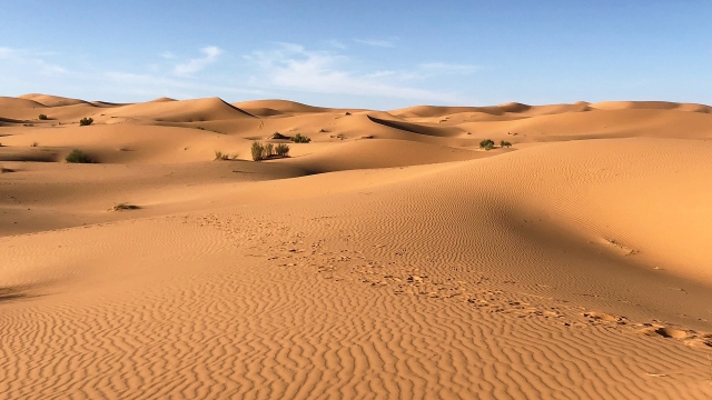 Uncovering Mysteries: The Enigmatic Beauty of the Sahara Desert