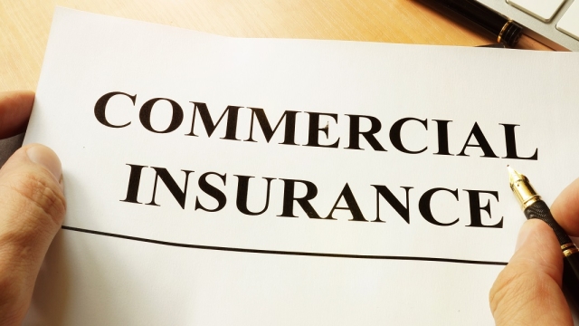 Safeguarding Your Business: The ABCs of Workers Compensation, Business, and D&O Insurance