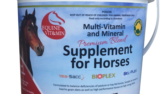 The Ultimate Guide to Enhancing Horse Health with Supplements