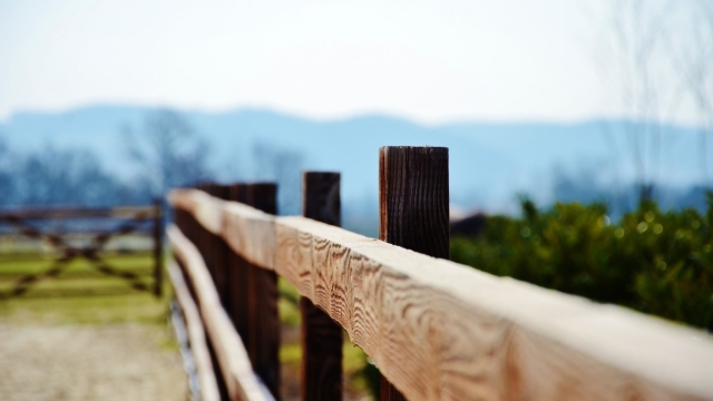 Battle of the Fences: Chain Link vs. Wood