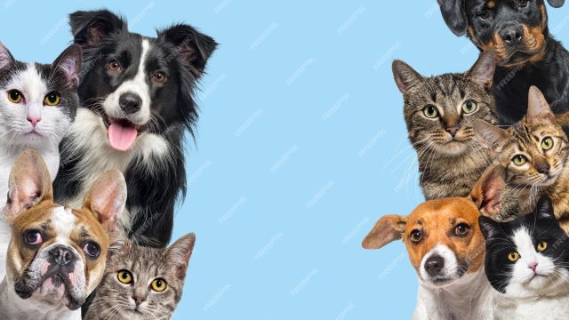 Pawsitively Yours: The Joys of Sharing Life with a Pet