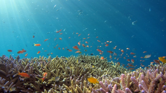 Understanding Underwater Infrastructure