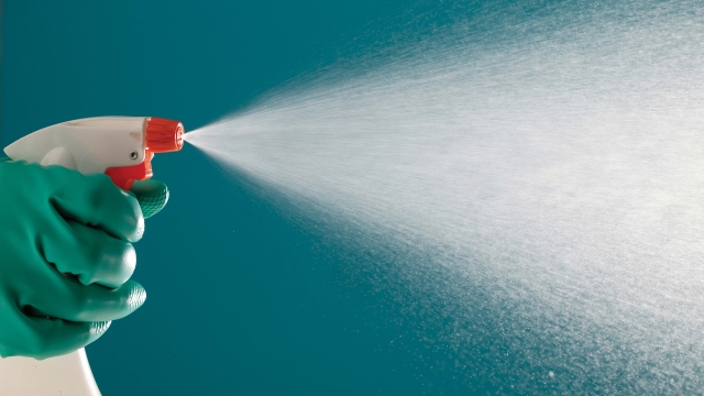 A Comprehensive Review of Popular Cleaning Services