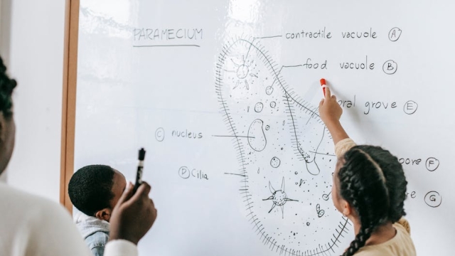 Effective Study Techniques Achieving educational