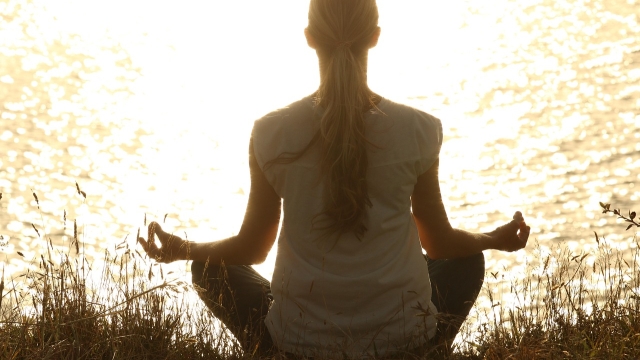 Understanding Personalized Wellness What It Means for You