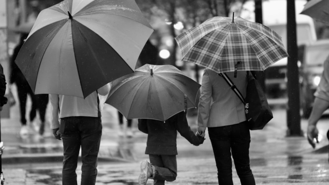 Understanding Life Insurance Basics for Families