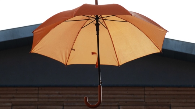 Understanding Different Types of Insurance in the UAE Analysis