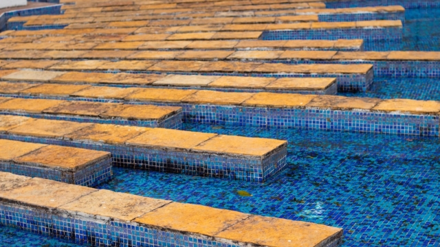 Understanding Custom Design Services for Pool Tiles